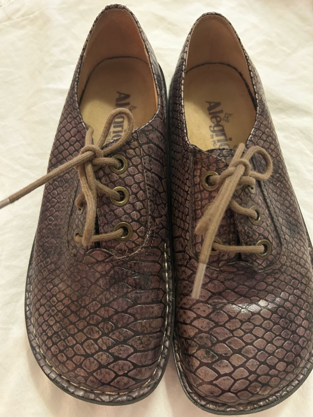 Alegria Abby Brown Snake Croc Leather lace-up oxford